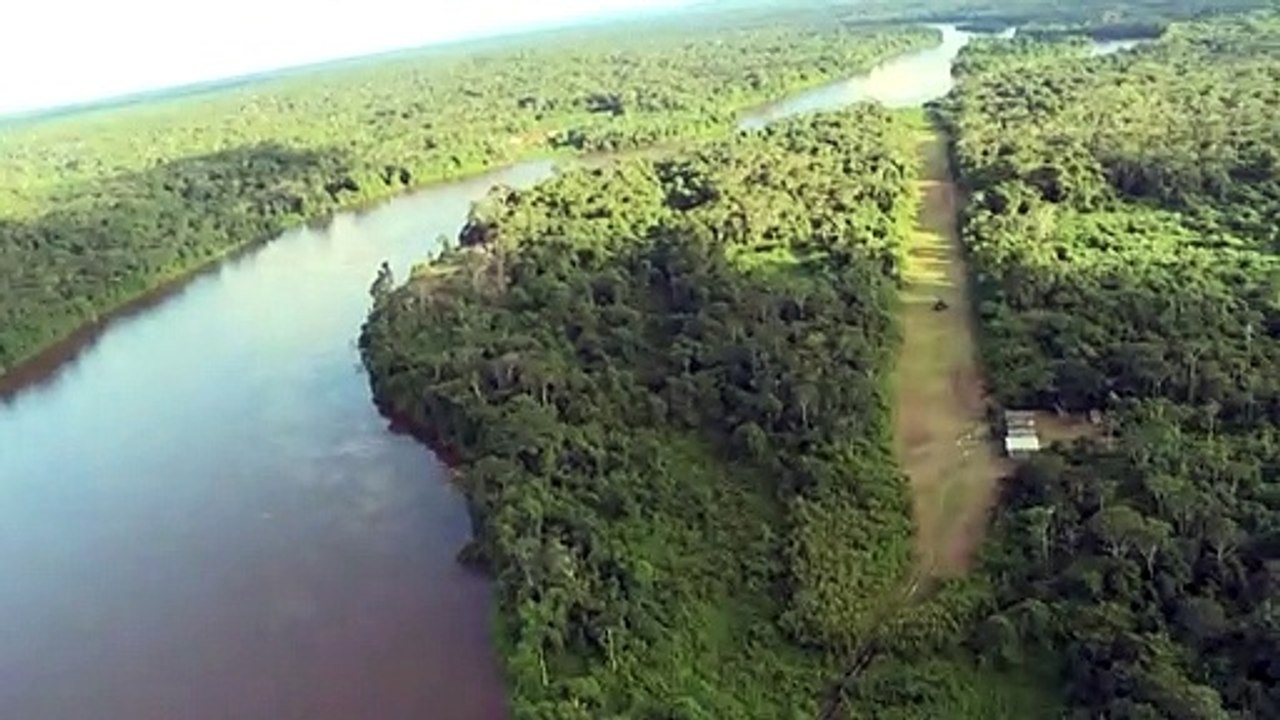 Brasil assinará acordo para preservação das florestas na COP26