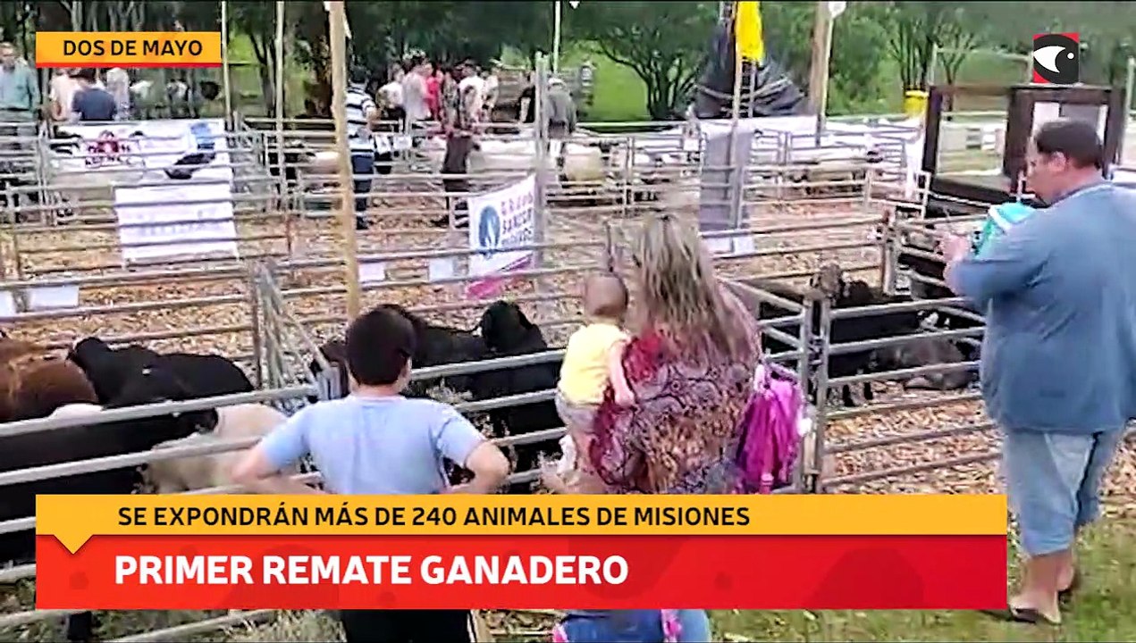 Primer remate ganadero
