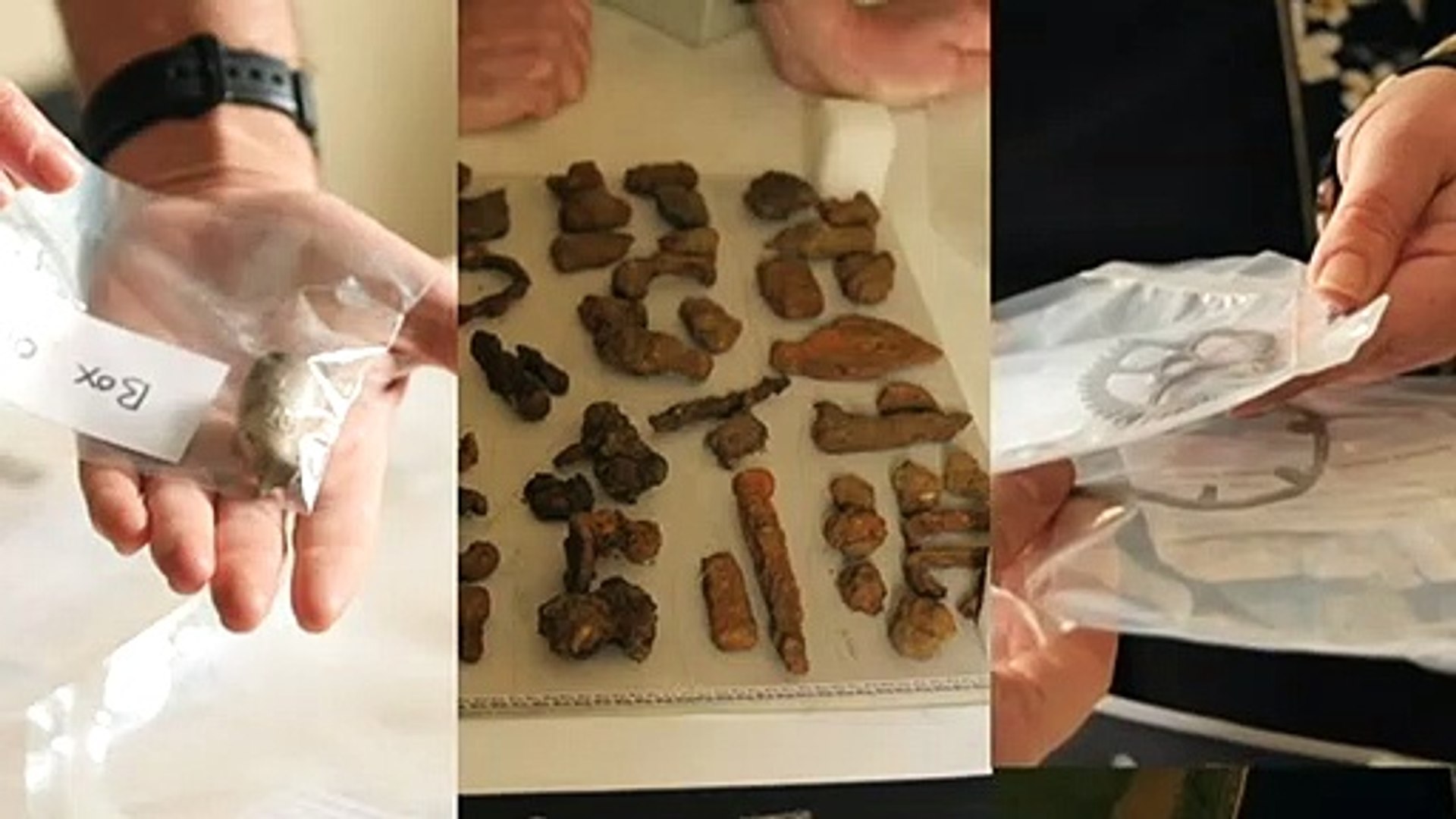 ⁣Archaeological dig in Port Arthur uncovers convict artefacts