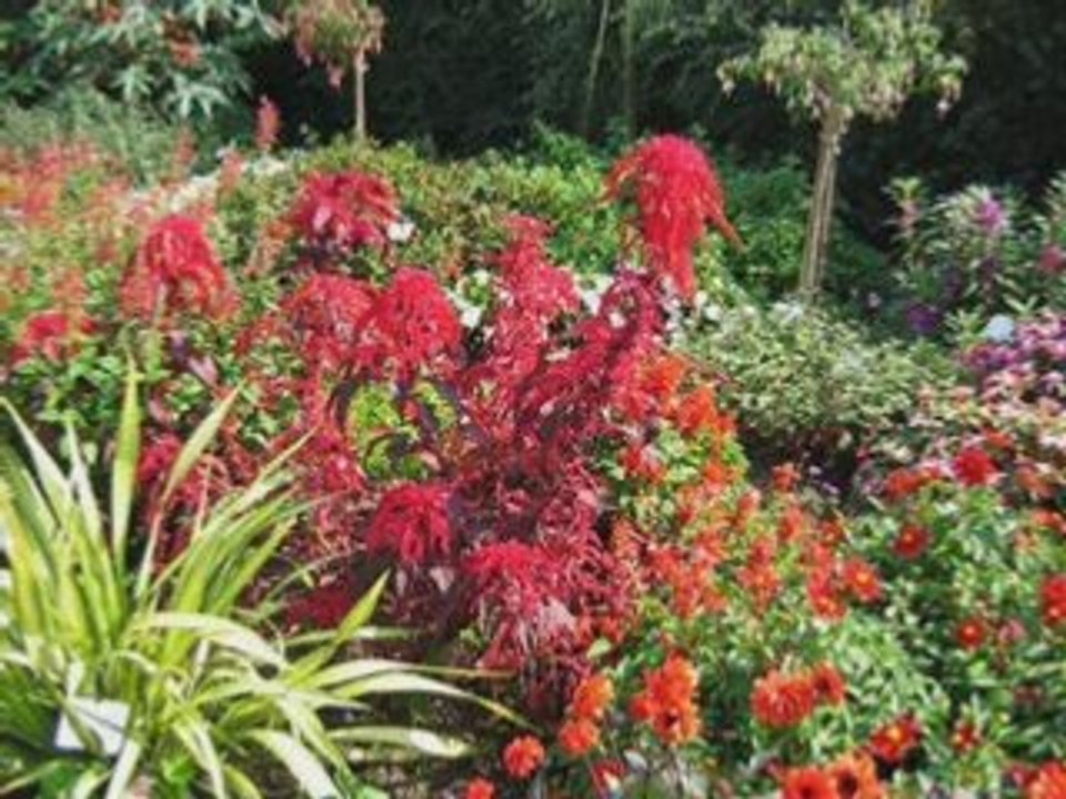 La fete des grand-meres