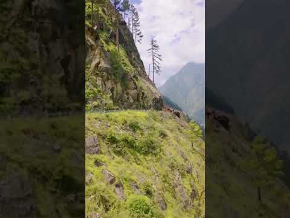 Landslide hits bus carrying over 30 passengers in Himachal's Kinnaur district