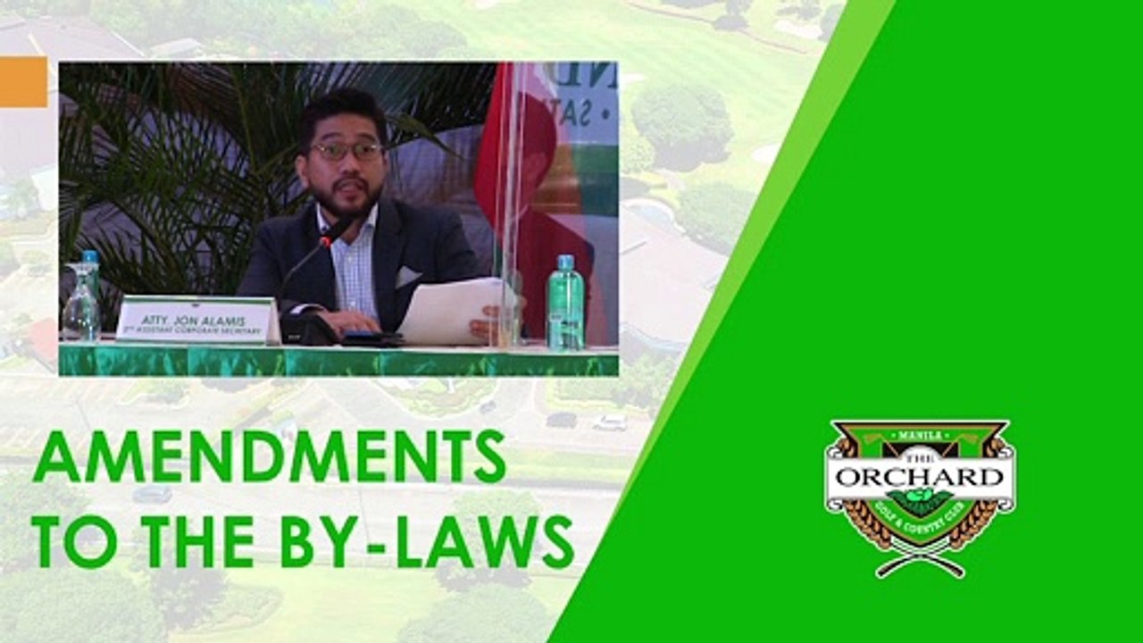 V. Amendments to the By-Laws