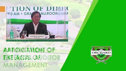 VI. Ratification of the Acts of Management