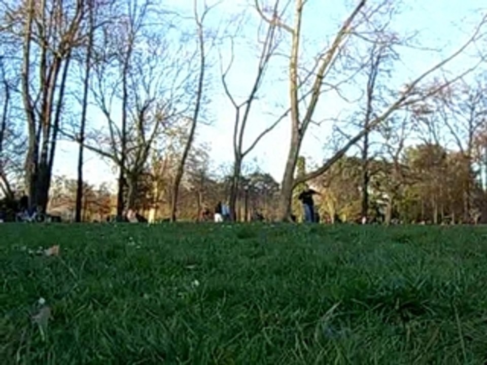 Flosaut