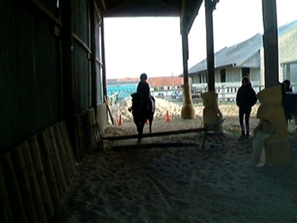 Eline, saut d'obstacle