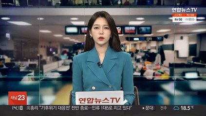 '연희동 고양이 사체' 수사…"들개 소행 가능성"