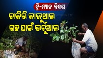 Special Story | Meet The Tree Man of Balasore Who Has Dedicated His Life To Plantation