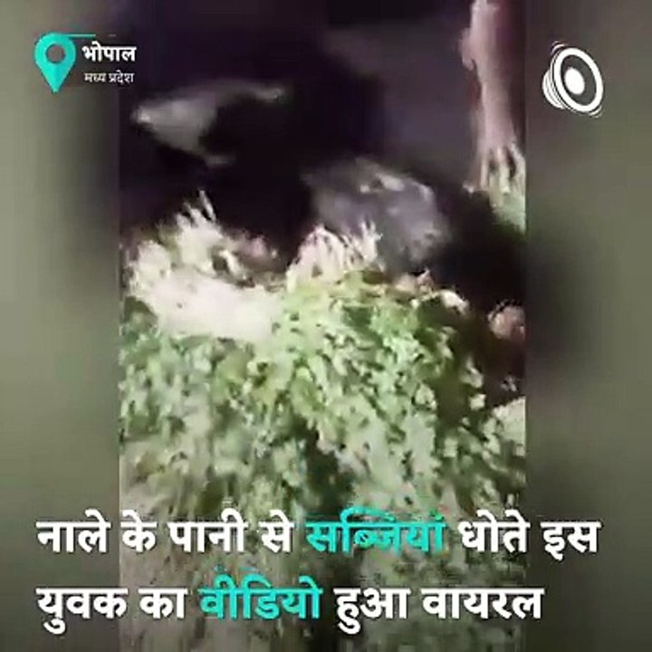 Video Of Vegetable Seller Washing Coriander In Drain Water Goes Viral video Dailymotion