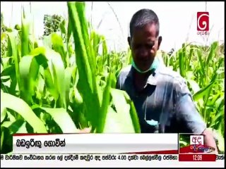 Ada Derana Lunch Time News 30-10-2021