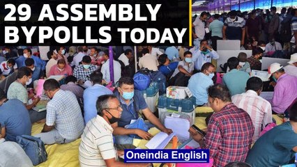 Voting underway in bypolls to 3 Lok Sabha and 29 assembly seats across 13 states | Oneindia News