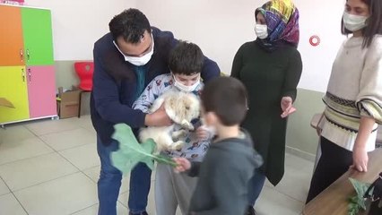 Derslere giren Tavşan ve ördek öğrencilerin vazgeçilmezi oldu
