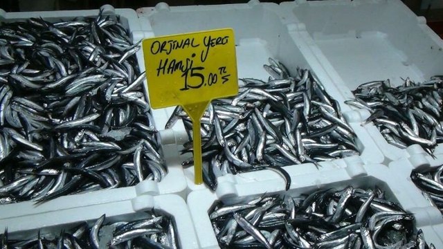 Karadeniz’de fırtına dindi, hamsi ucuzladı