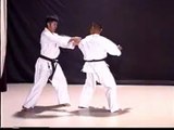 KARATÉ DO UECHI RYU