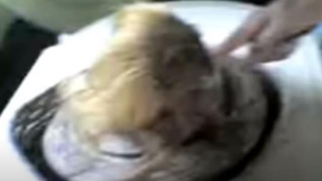 Videosunu izleyenler ikinci kez bakamıyor! İşte Türkiye'de bir döneme damga vuran insan başlı yılan