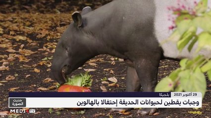 حديث الصورة - 30/10/2021