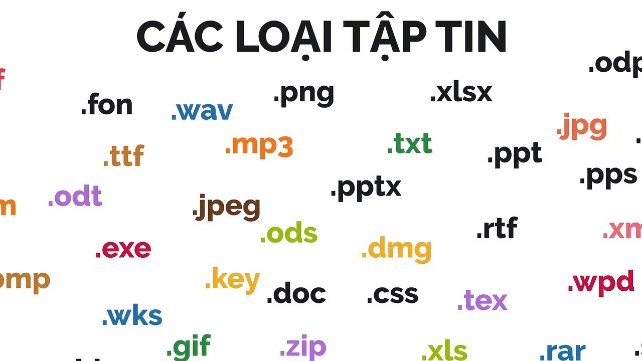 Tìm hiểu về tập tin và hệ thống tập tin