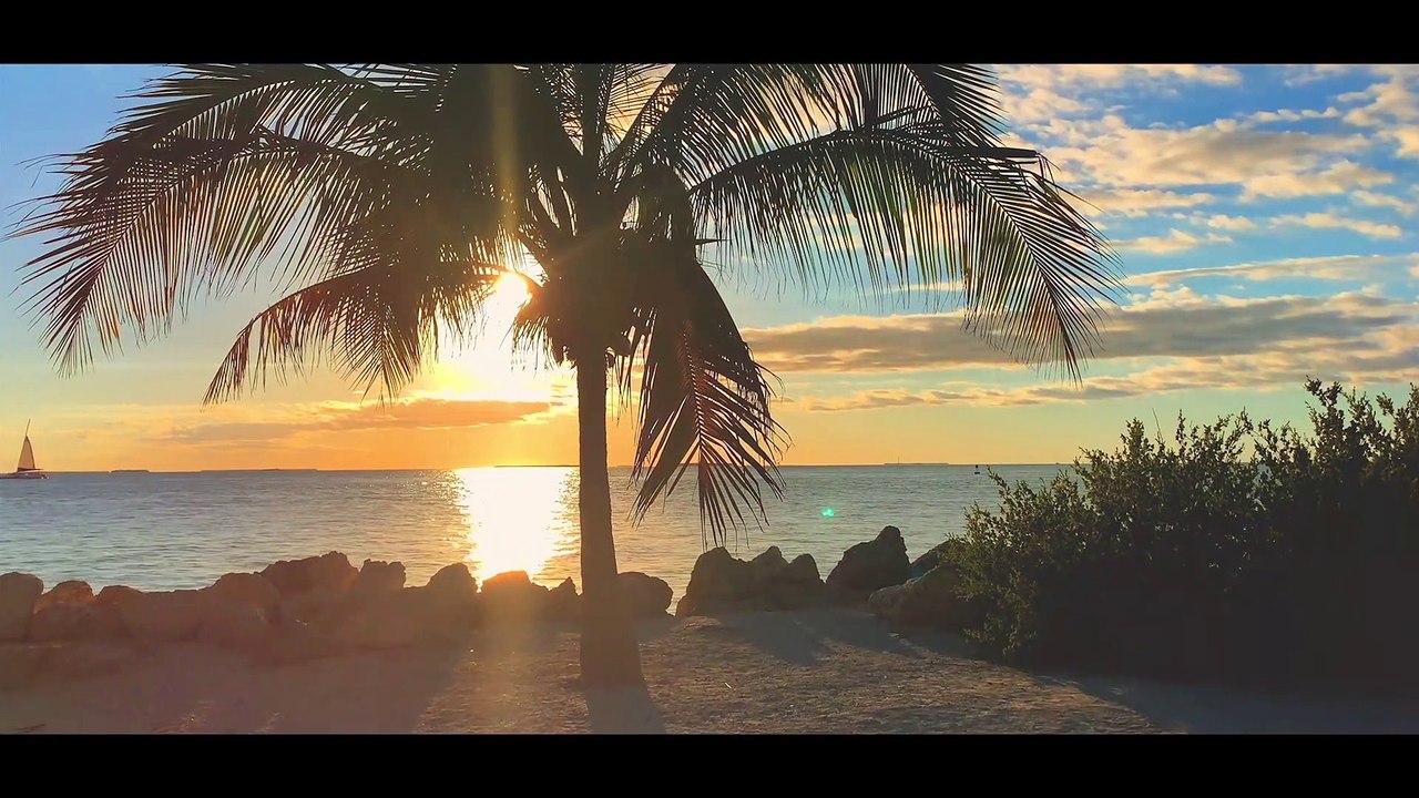 UNDER THE SUN (MPT REMIX) - PROD. BY MALIKSON - OFFICIAL MUSIC VIDEO