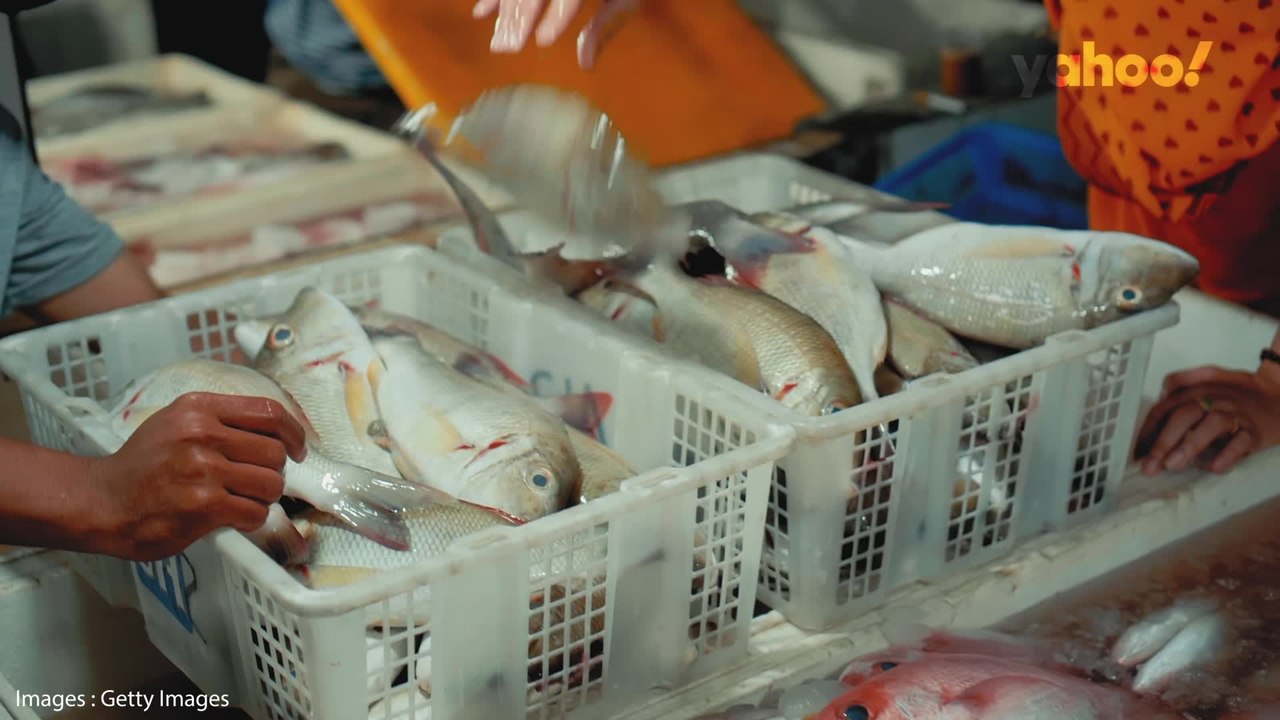 L’impact des déchets plastiques et de la pollution de l’eau sur notre santé