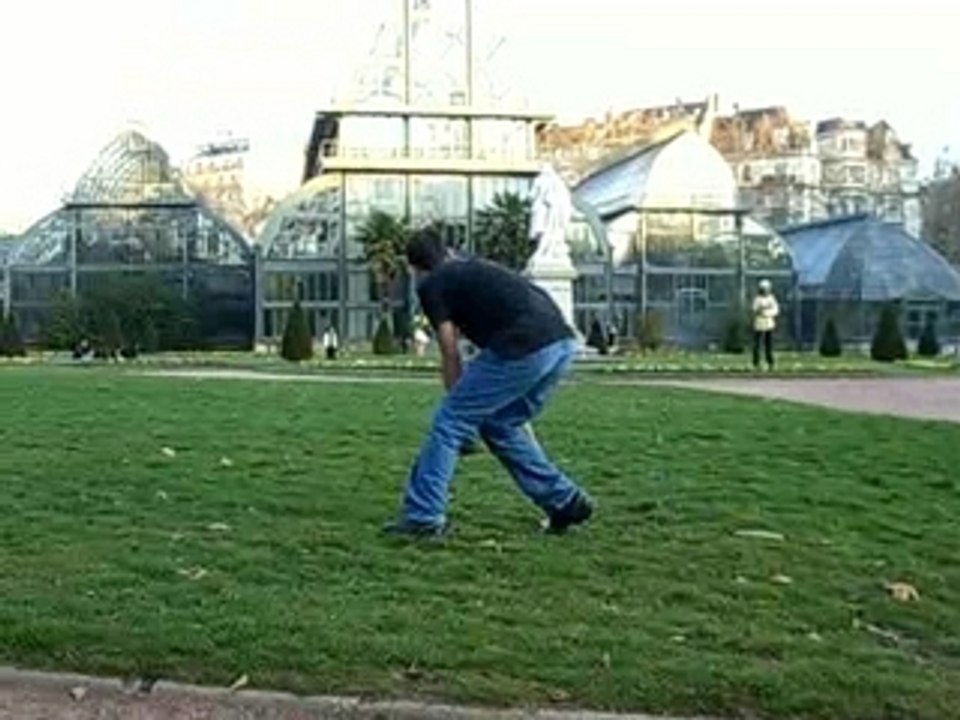 Rodypied