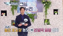 무시했던 통증의 시그널 당뇨병 전조증상?! TV CHOSUN 20211103 방송