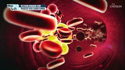 나이가 들면 피할 수 없는 근육감소에 도움 주는 『이것』 TV CHOSUN 20211103 방송