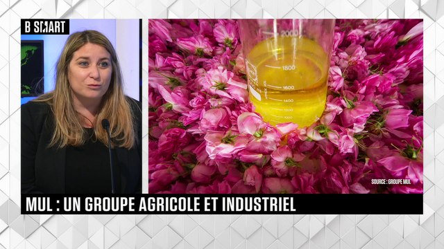 SMART IMPACT - L'invité de SMART IMPACT : Cécile Mul (Groupe Mul)