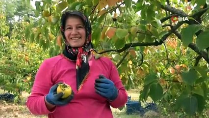 Fabrika gibi mahalle! Çamaşır ipine asarak başladı, siparişlere yetişemiyor