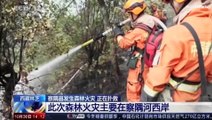شاهد | رجال الإطفاء يكافحون حريقاً هائلاً اندلع في غابة صينية