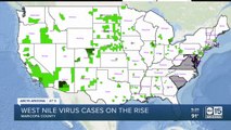 West Nile Virus cases on the rise in Maricopa County