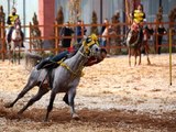 Cumhuriyet Bayramı Atlı Cirit Gösterileri nefesleri kesti