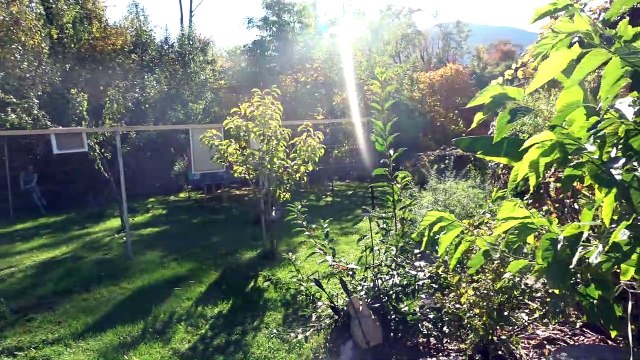 Karimus des Haydar Celik oder Krieg ist eine primitive Sache | Kunst und Kultur