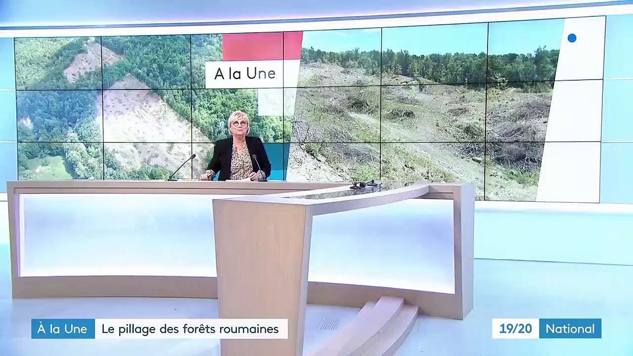 Roumanie : l'une des dernières forêts primaires d'Europe est menacée