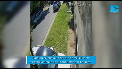 Un camión arrolló a un perrito en Villa Elvira: su familia denuncia al conductor por no parar