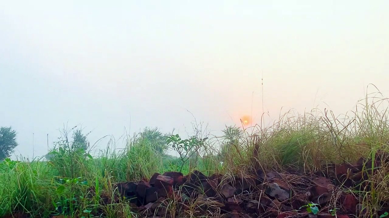 Sunrise