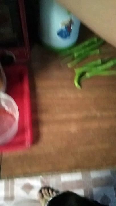 cooking