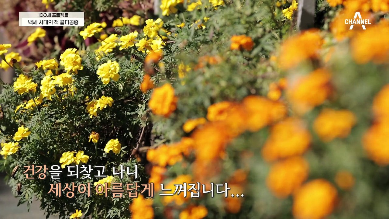 뼈 건강 개선에 도움을 주는 MBP