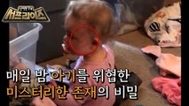 [HOT] The ghost who attacked Lily's daughter in the middle of the night in 2019, 신비한TV 서프라이즈 211031