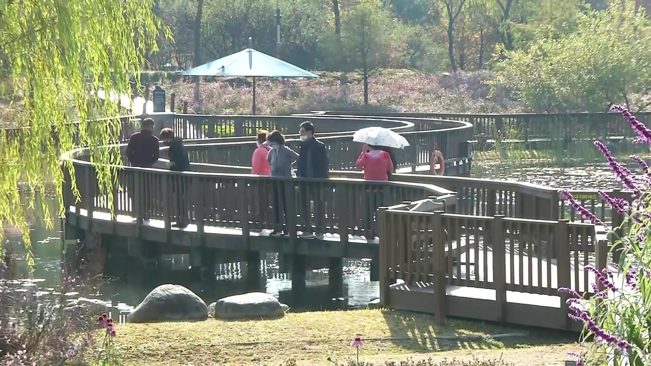 깊어가는 한밭수목원의 가을...일상회복 기대감에 야외로 / YTN