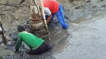 Harvesting Mujair Fish in Pond - INDONESIA CITIZEN