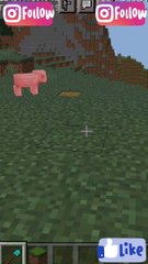 Minecraft Logic That Make No Sense