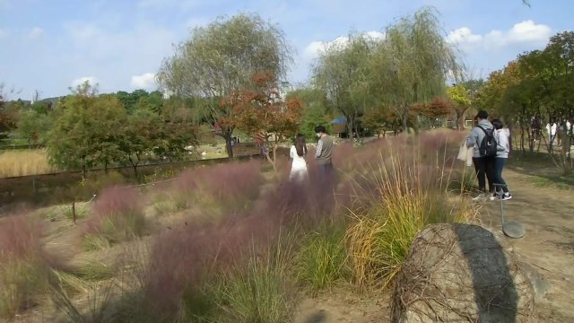 단계적 일상회복 기대감 속에 가을 정취 '만끽' / YTN