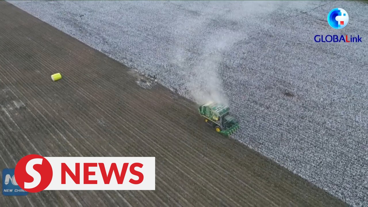 Smart technologies help Xinjiang farmers embrace cotton harvest