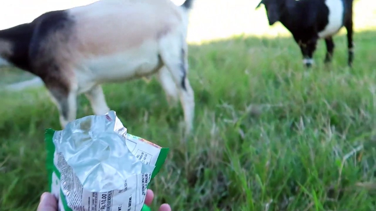 Today I Ran 80km(clickbat) I END OF Quarantine I ALUBARI GHAT BRIDGE,CHOWKHAM I vlog69