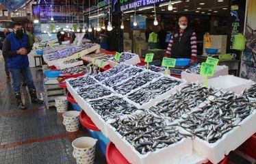 BOY SINIRI ALTINDA AVLANAN PALAMUT ERKEN TÜKENDİ