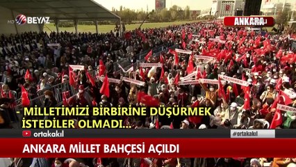 Ortak Akıl 31 Ekim 2021