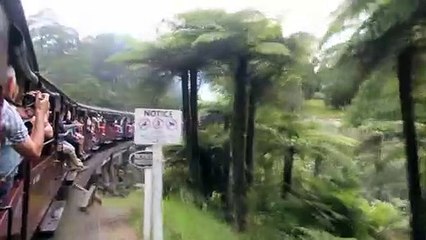 GlobalTravel#Puffing Billy@Monbulk Creek trestle bridge