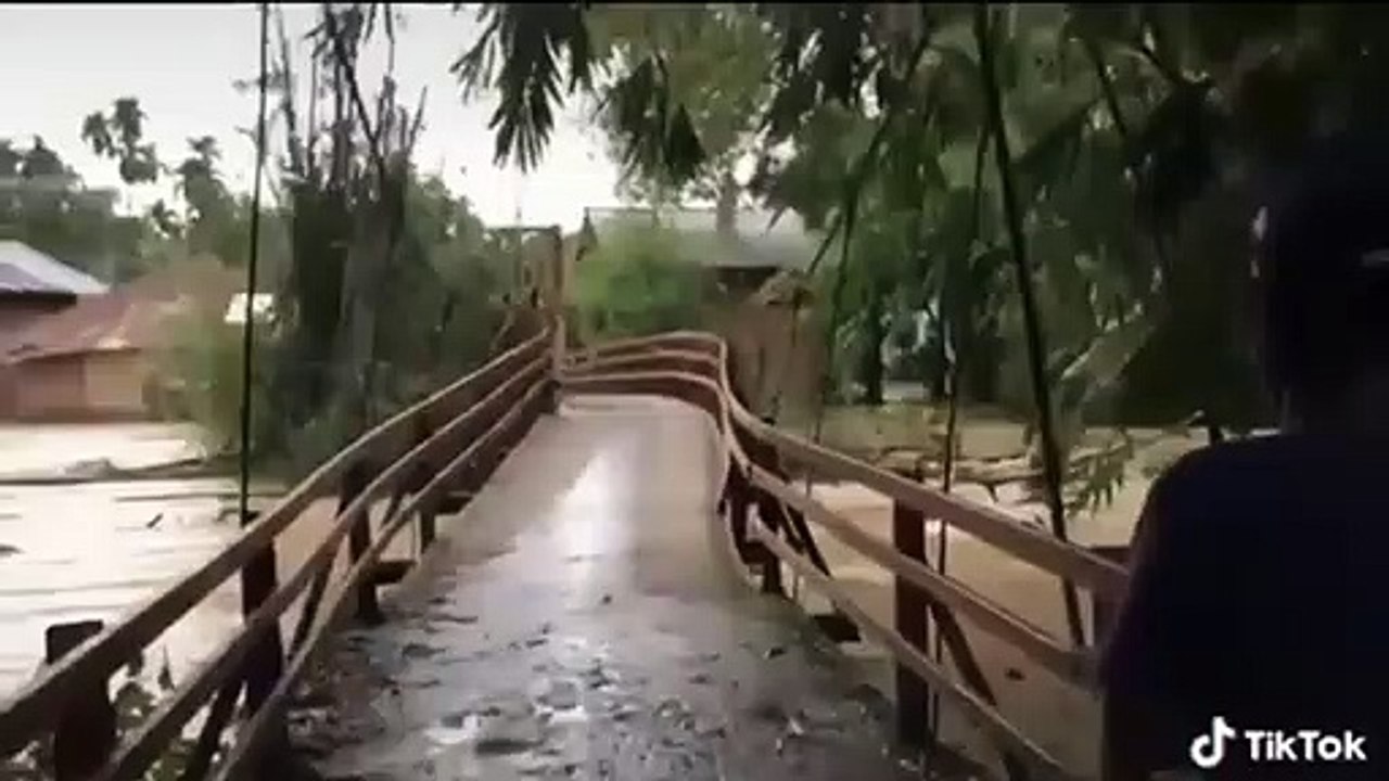 VIRAL ...unexpected ... this bridge is strong