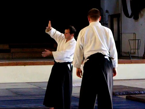 chudan-tsuki - irimi-nage (ura)