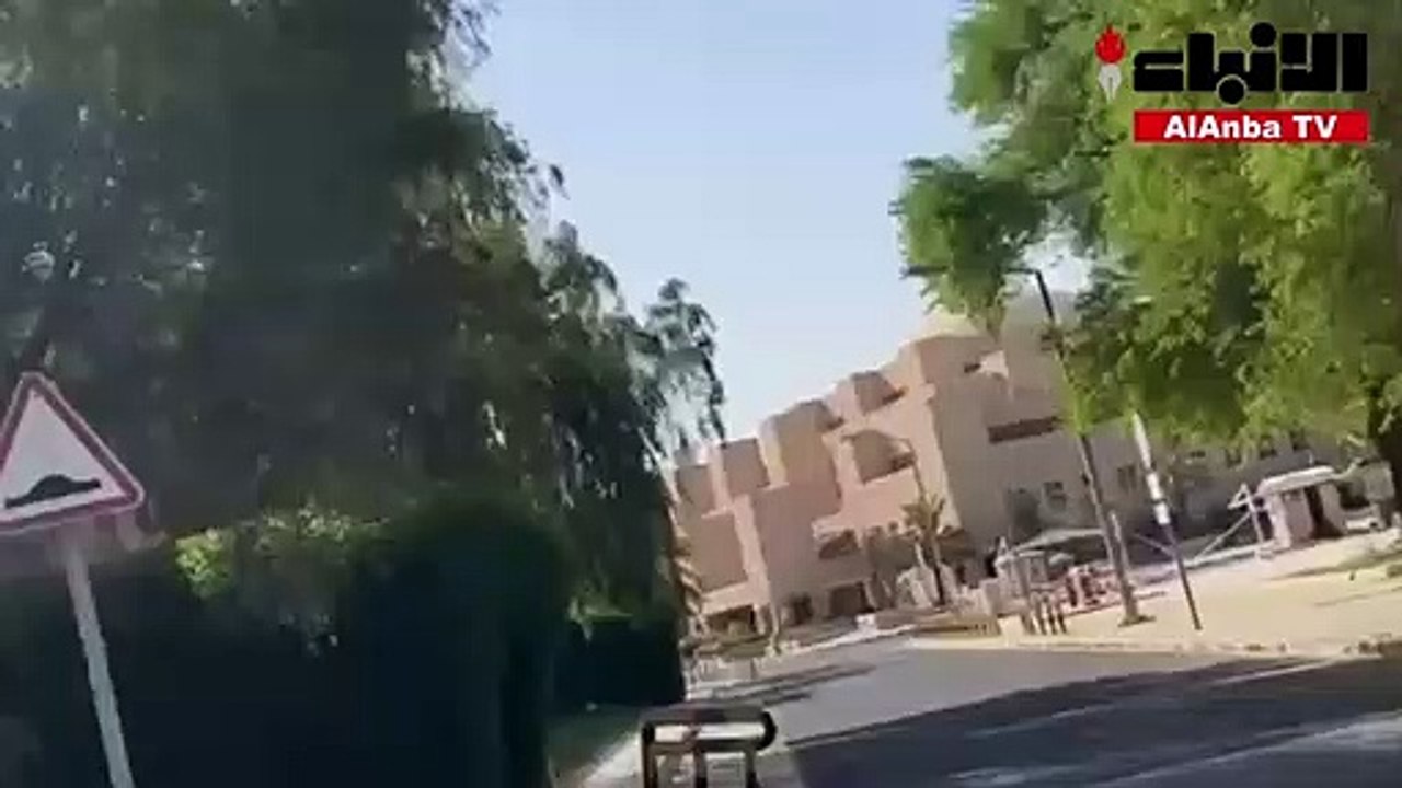 كلاب 1
