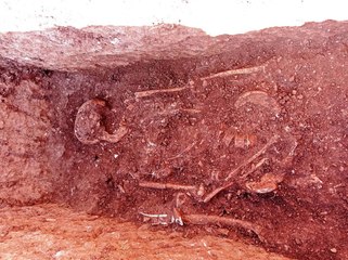Adıyaman’da 1500 yıllık insan iskeletine rastlandı